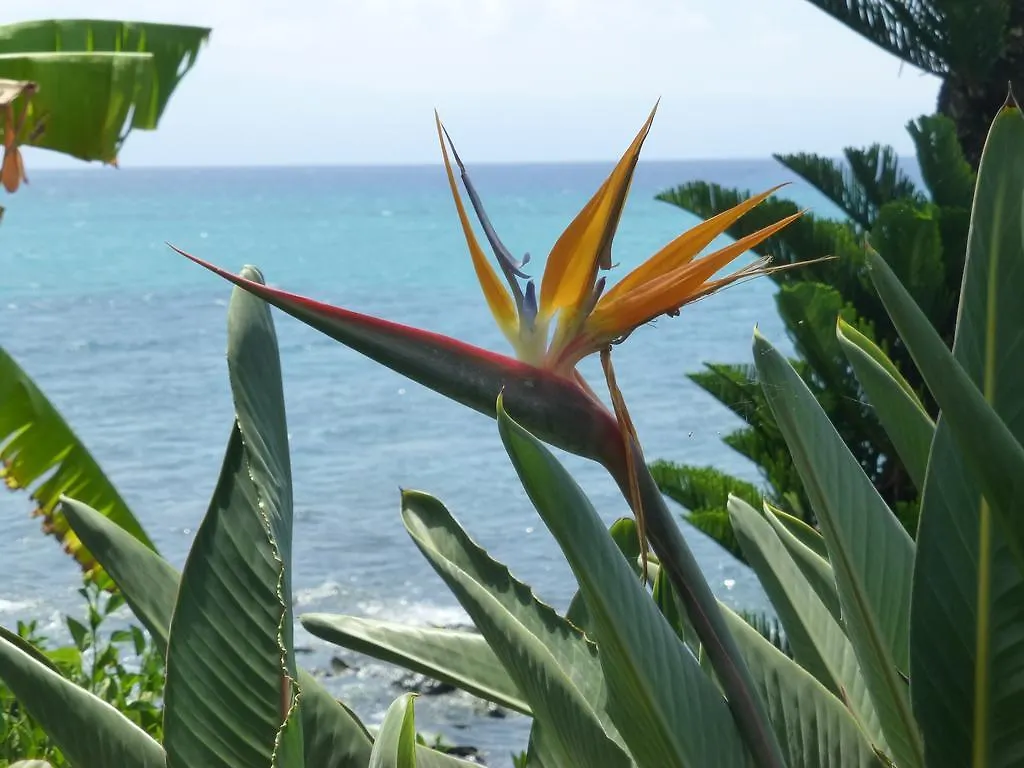 Aparthotel Mahina Surf 220 By Redawning Lahaina